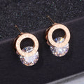 Boucles d'oreilles clous tendance en Zirconium AAA couleur Or Rose en Acier Inoxydable 316L Brincos pour Femme Bijoux de Mode Inoxydables WX028