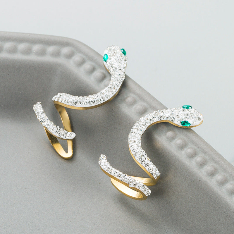 Trendy Titanium Steel Earrings Female Hollow Fashion Snake-Shaped Personality Creative Earrings Stainless Steel Jewelry